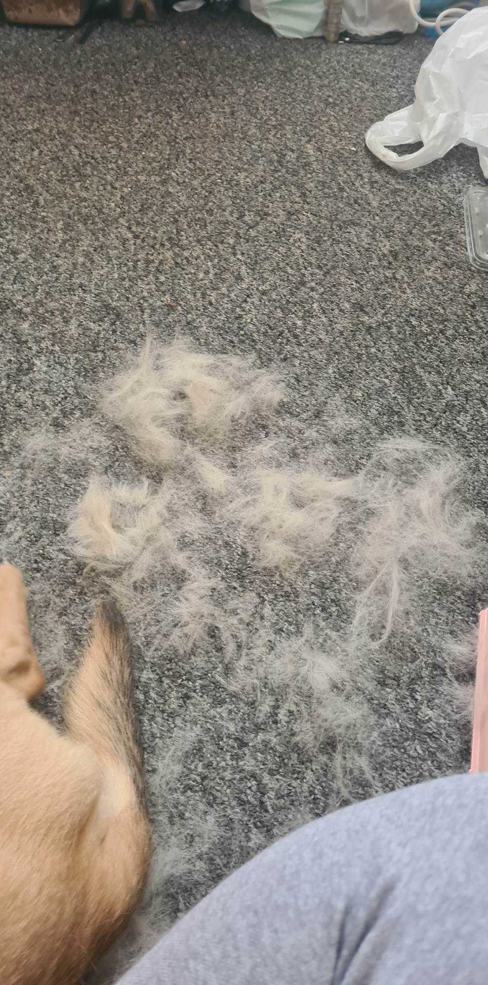 PetPog Animal Deshedding Comb For Fur